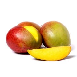 MANGUE