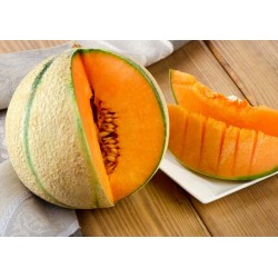 MELON CHARENTAIS BOULE DE MIEL