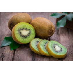 LOT KIWI X 3