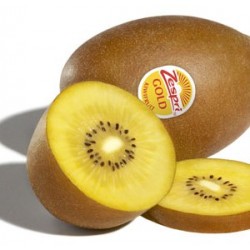 KIWI GOLD