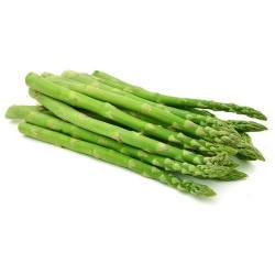 ASPERGE VERTE